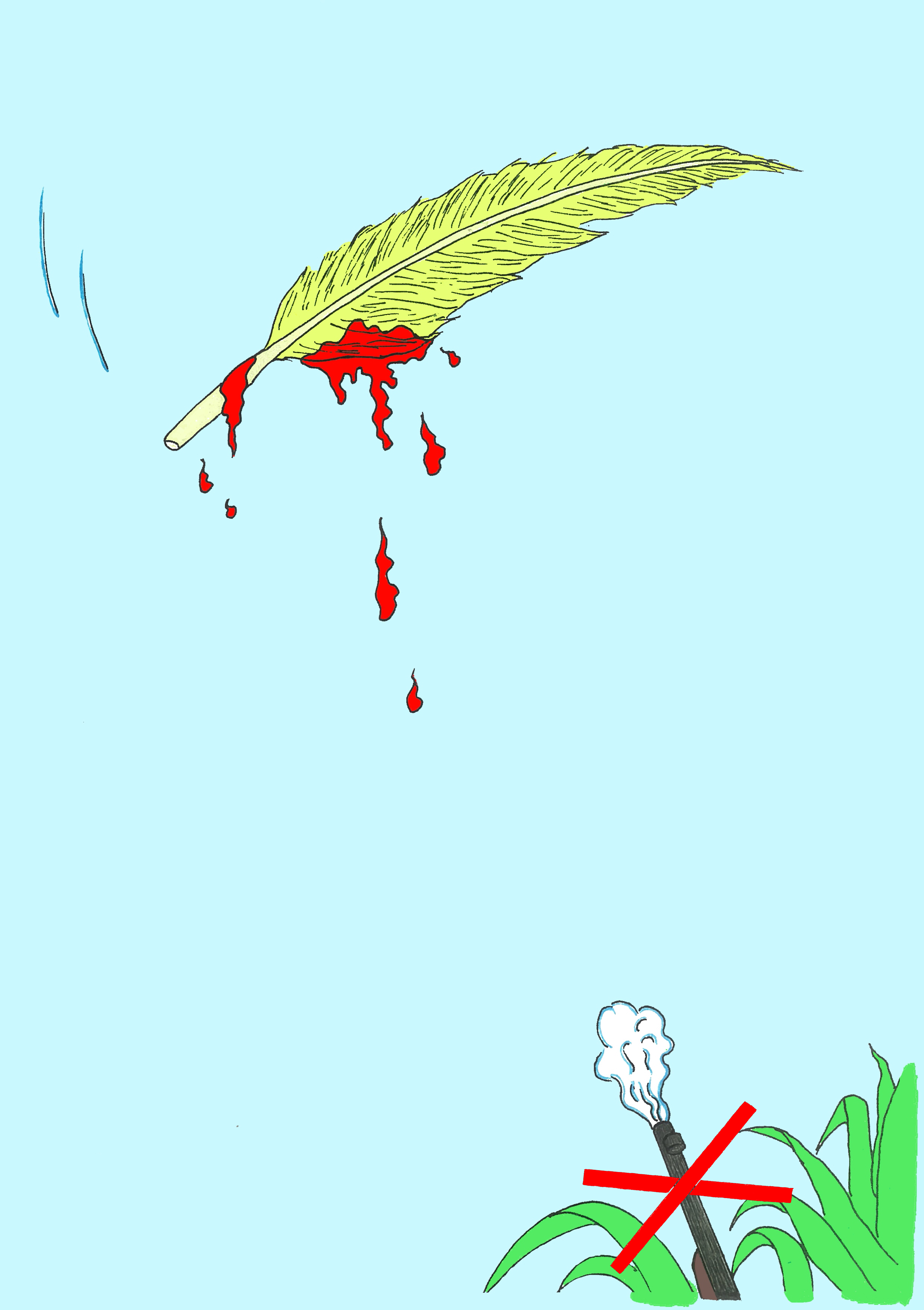 不許獵殺飛禽！