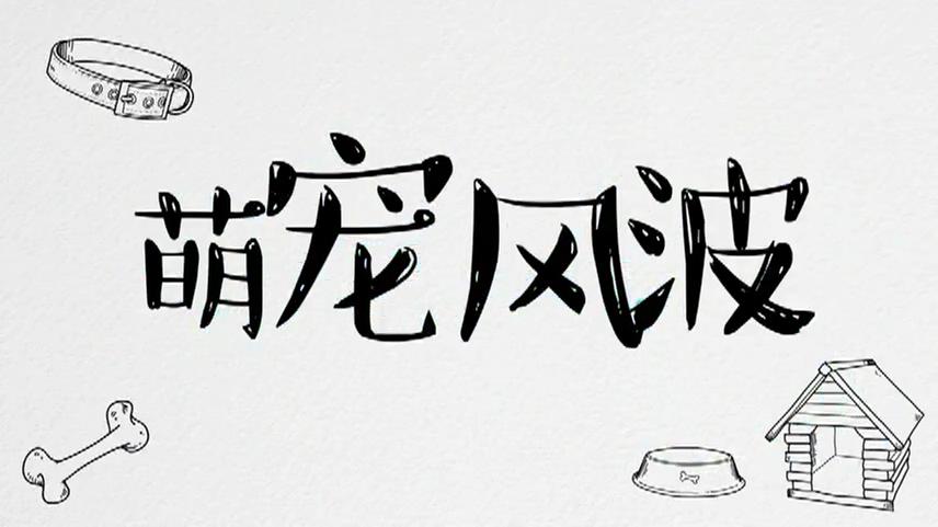 萌寵風波
